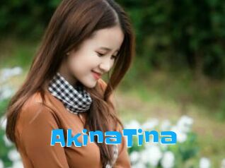 AkinaTina
