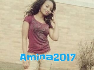 Amina2017