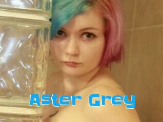 Aster_Grey