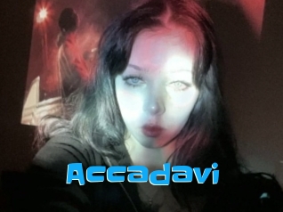 Accadavi