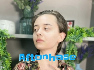 Aftonhase