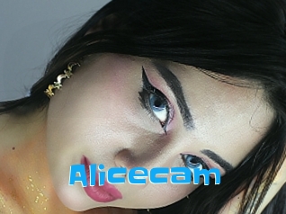 Alicecam