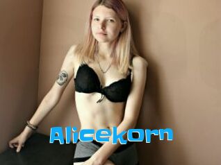 Alicekorn