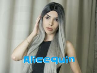Alicequin