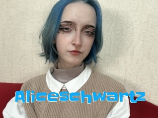 Aliceschwartz