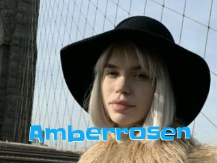 Amberrosen