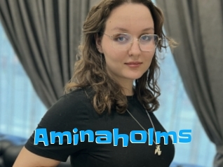 Aminaholms