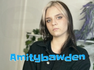 Amitybawden