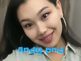 Andy_pnd