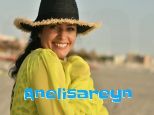 Anelisareyn