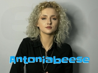 Antoniabeese