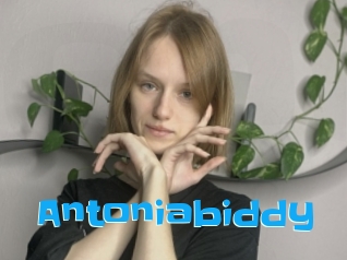 Antoniabiddy