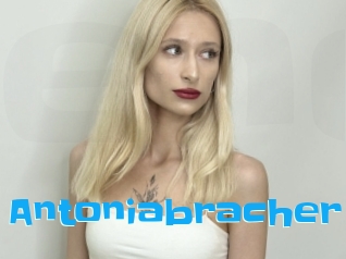 Antoniabracher
