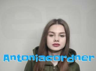 Antoniacordner