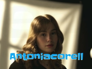 Antoniacorell