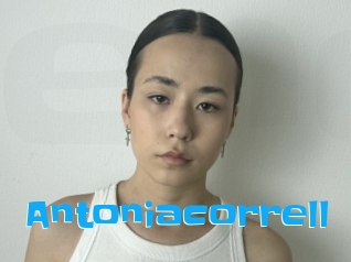 Antoniacorrell