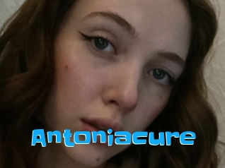 Antoniacure