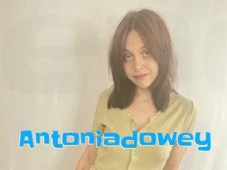 Antoniadowey
