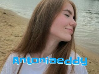Antoniaeddy