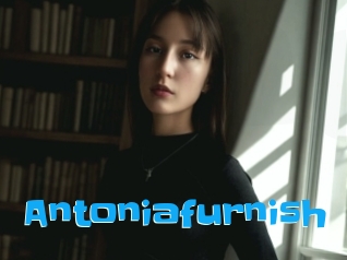 Antoniafurnish