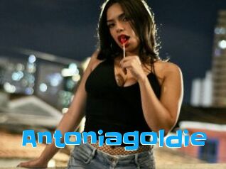 Antoniagoldie