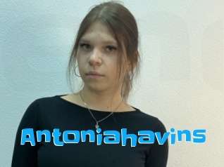 Antoniahavins