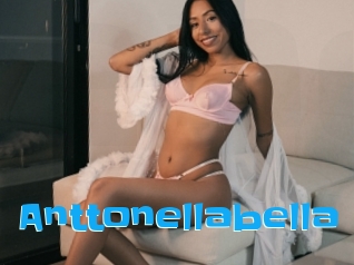 Anttonellabella