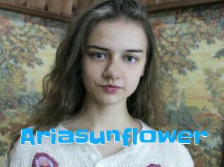 Ariasunflower