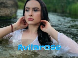 Avilarose
