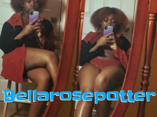 Bellarosepotter