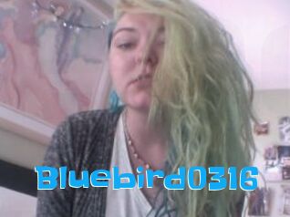 Bluebird0316