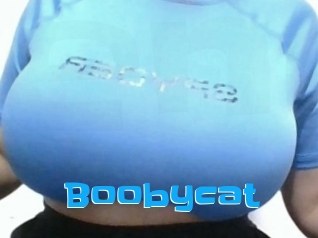 Boobycat