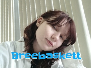 Breebaskett