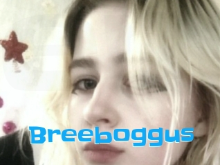 Breeboggus
