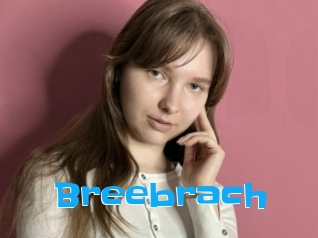 Breebrach