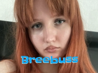 Breebuss