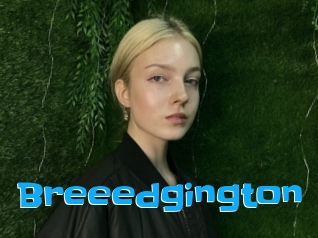 Breeedgington