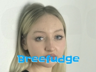 Breefudge