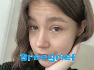 Breegrief