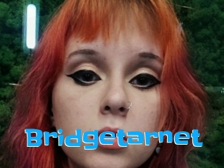 Bridgetarnet