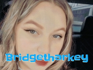 Bridgetharkey