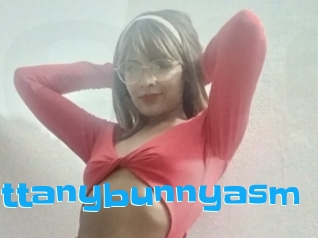 Brittanybunnyasm