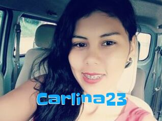 Carlina23