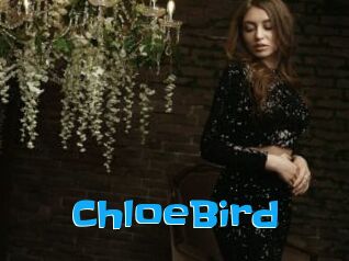 ChloeBird