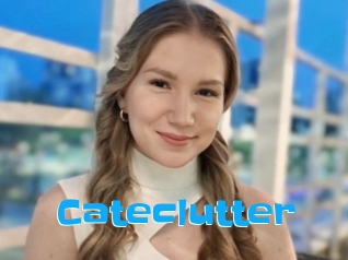 Cateclutter