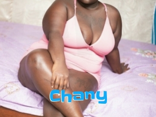Chany