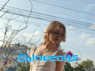 Chloecolts