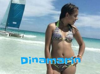 Dinamarin