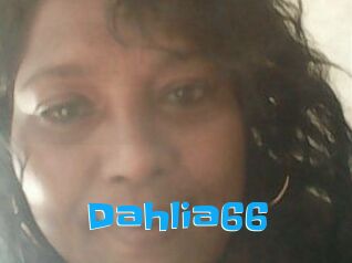Dahlia66