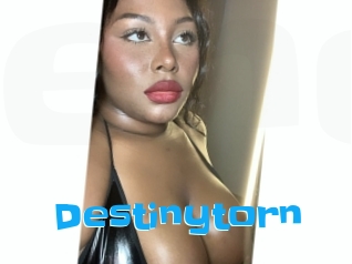 destinytorn Enculee
